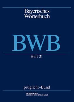 Bayerisches Wörterbuch (Bwb) Heft 21: Heft 21 (German Edition)