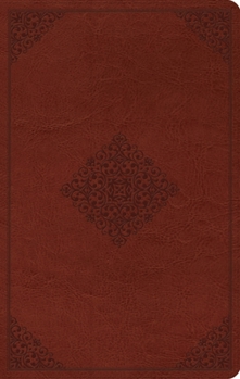 Imitation Leather Large Print Value Thinline Bible-ESV-Ornament Design [Large Print] Book