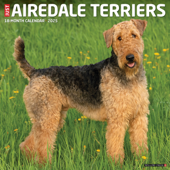 Calendar Just Airedale Terriers 2025 12 X 12 Wall Calendar Book
