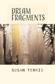 Paperback Dream Fragments Book