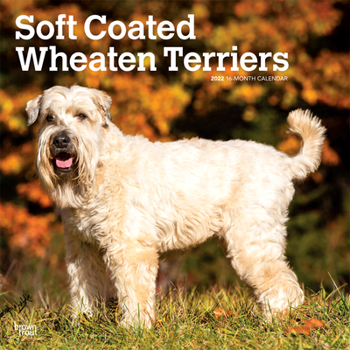 Calendar Wheaten Terriers Soft Coated 2022 Square Book