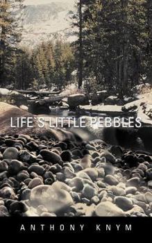 Paperback Lifes Little Pebbles Book