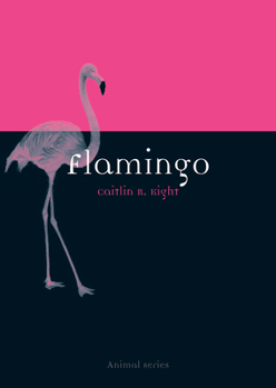 Flamingo - Book  of the Animal Series