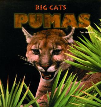 Hardcover Pumas Book