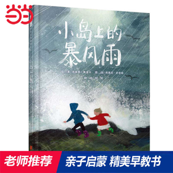 The Storm on the Island (Chinese Edition)