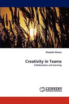 Paperback Creativity in Teams Book