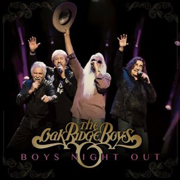 Vinyl Boys Night Out Book