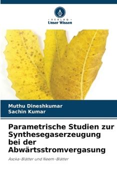 Paperback Parametrische Studien zur Synthesegaserzeugung bei der Abwärtsstromvergasung [German] Book