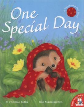 One Special Day - Book #4 of the Little Hedgehog