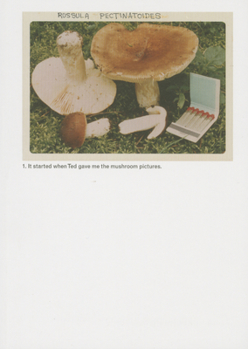 Paperback Jason Fulford: The Mushroom Collector Book