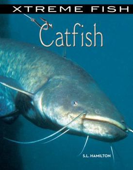 Catfish - Book  of the Xtreme Fish