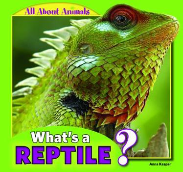 Library Binding What's a Reptile? Book