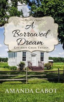 Library Binding A Borrowed Dream [Large Print] Book