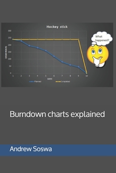 Paperback Burndown charts explained Book