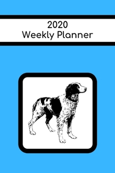 Paperback 2020 Weekly Planner: Brittany Spaniel; Janaury 1, 2020 - December 31, 2020; 6" x 9" Book