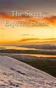 Paperback The Sweet Especial Scene Book