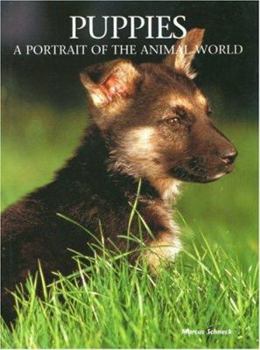 Hardcover Puppies: A Portrait of the Animal World Book