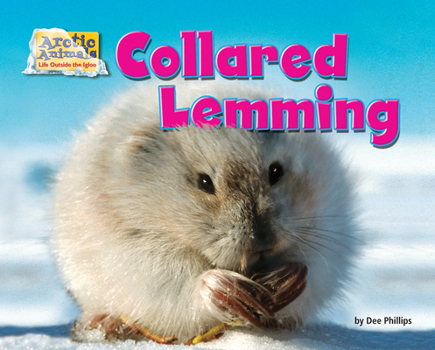 Collared Lemming - Book  of the Arctic Animals: Life Outside the Igloo