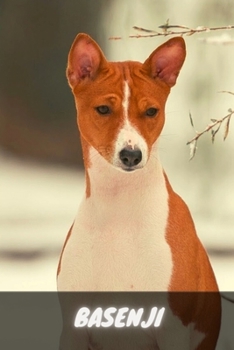 Paperback Basenji: Complete breed guide Book