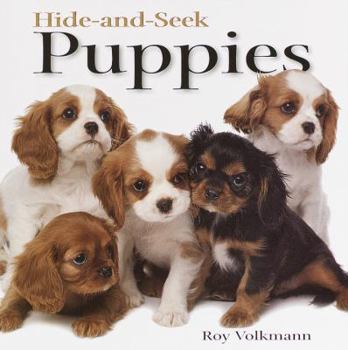 Hardcover Hide-And-Seek Puppies Book