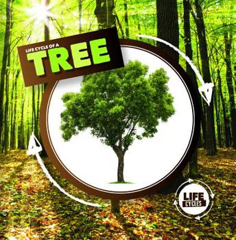 Paperback Life Cycle of a Tree Book
