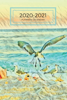 Teal Blue Sea Shells and Gulls Dated Calendar Planner  2 years To-Do Lists,Tasks, Notes  Appointments: Small Cute Pocket/Purse Size  at-A-Glance ... - Dec 2021, 25 months Weekly Planner Book)