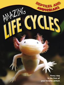 Paperback Reptiles & Amphibians (Amazing Life Cycles) Book