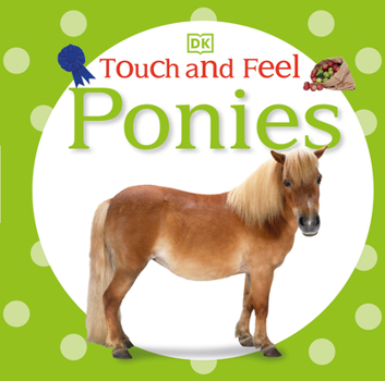 Board book Ponies Book