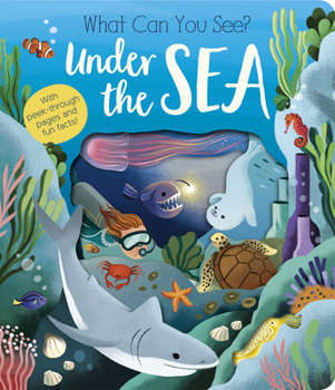Board book What Can You See? Under the Sea Book