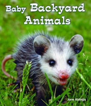 Library Binding Baby Backyard Animals Book