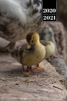 Duck Geese Goose Mallard Duckling Week Planner Weekly Organizer Calendar 2020 / 2021 - Baby Cleaning Up: Cute Wildlife Animal Pet Bullet Journal Notebook Diary in 6” x 9” Inch Pocket Size