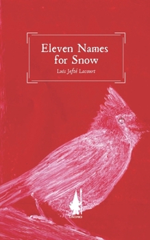 Paperback Eleven Names for Snow Book