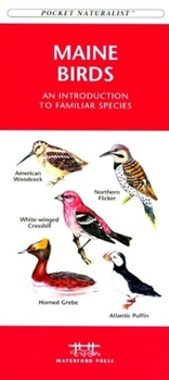 Maryland & DC Birds: A Folding Pocket Guide to Familiar Species