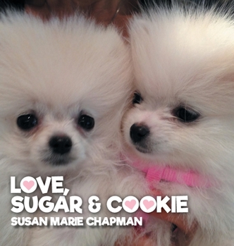 Hardcover Love Sugar & Cookie Book