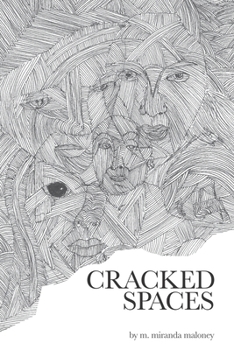 Paperback Cracked Spaces Book