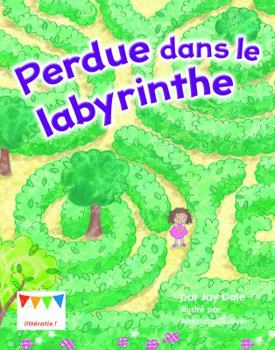 Paperback Perdue dans le labyrinthe [French] Book