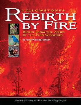 Paperback Yellowstone's Rebirth by Fire: Rising from the Ashes of the 1988 Wildfires Book