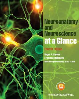 Paperback Neuroanatomy and Neuroscience at a Glance Book