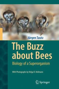 Hardcover The Buzz about Bees: Biology of a Superorganism Book