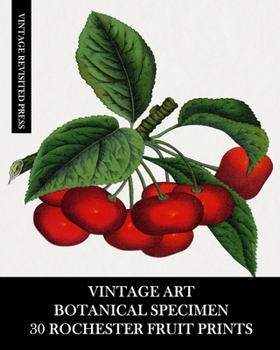 Paperback Vintage Art: Botanical Specimen: 30 Rochester Fruit Prints: Pomology Ephemera for Framing, Decor and Reference Book