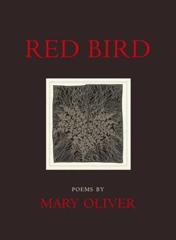 Paperback Red Bird Book