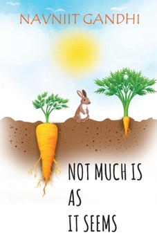 Paperback Not Much Is As It Seems Book