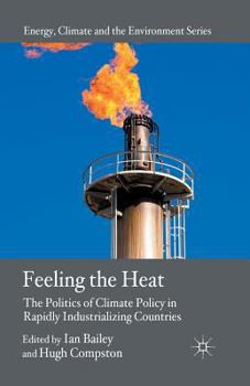 Paperback Feeling the Heat: The Politics of Climate Policy in Rapidly Industrializing Countries Book