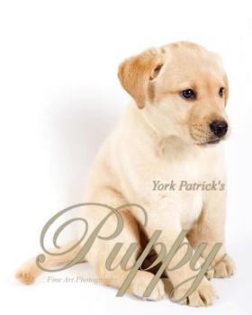 Paperback Puppy - Fine Art Photography Book