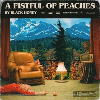 Vinyl A Fistful Of Peaches Book