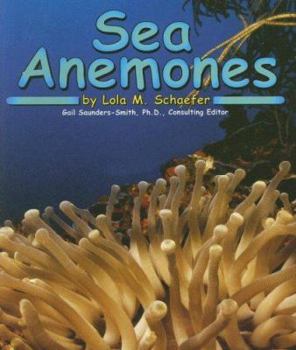 Read and Learn: Ooey-gooey Animals - Sea Anemones (Read and Learn) - Book  of the Pebble Books: Ocean Life