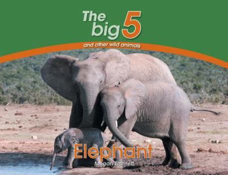 Paperback Elephant: The Big 5 and other wild animals Book