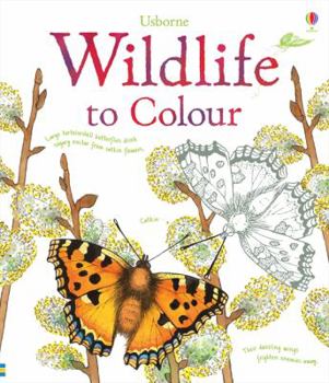 Paperback Wildlife to Colour Book
