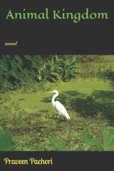 Paperback Animal Kingdom: animal Book