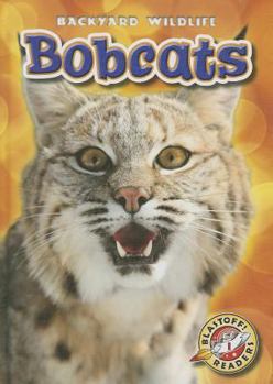 Bobcats - Book  of the Backyard Wildlife